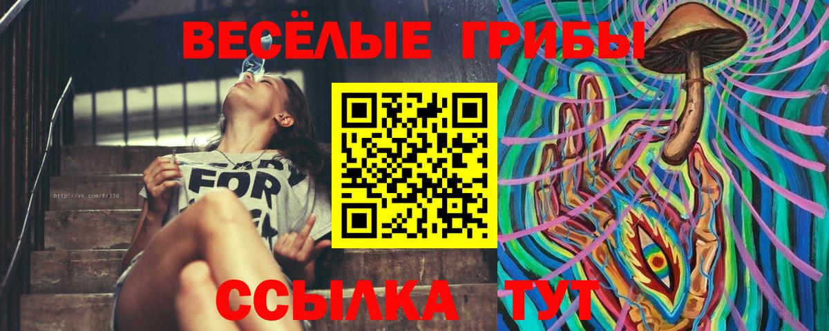 Старая Купавна  Псилоцибиновые грибы мицелий  Вход с VPN 