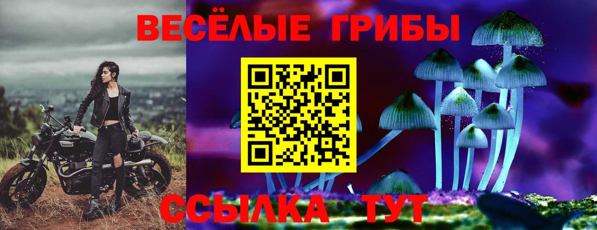 Галлюциногенные грибы мицелий Старая Купавна
